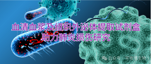 IF=16.6宇玫博多款外泌体提取试剂盒助力客户肺炎损伤研究