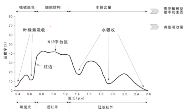 无人机高光谱临安山分析案例-莱森光学