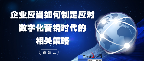 臻盛云:企业应当如何制定应对数字化营销时代的相关策略