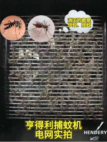 phpXRC8yB