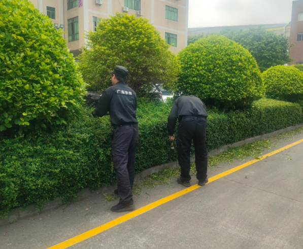 安全守护+绿意呵护：广东华创保安的增值服务方程式