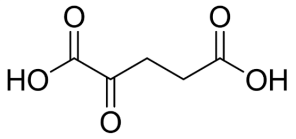 phpNnc6Pa