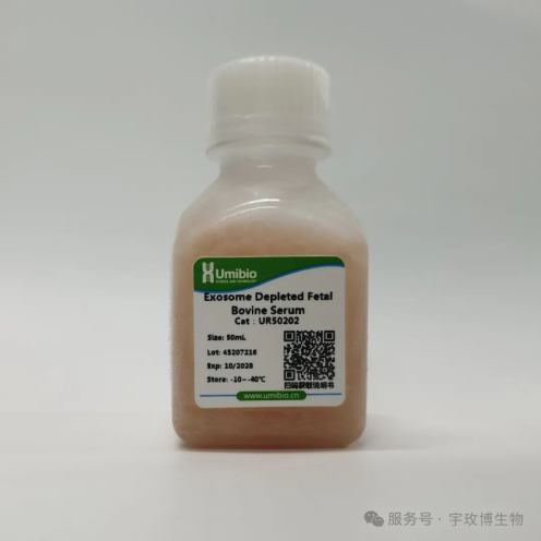phpUxYWkJ