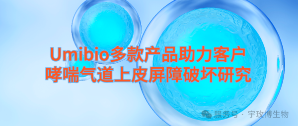 IF=8宇玫博外泌体提取试剂盒助力哮喘气道上皮屏障破坏研究！